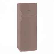 OCEAN Réfrigérateur Frost 310L Silver (PDF310TSLA+)